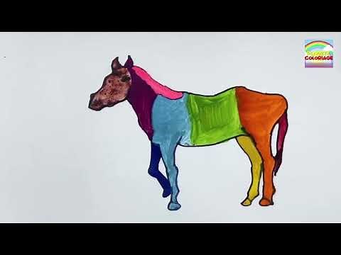 Apprenez à dessiner et à colorier un cheval sauvage et plus | Draw and Color a Wild Horse + More