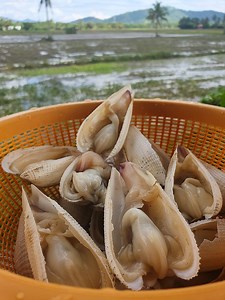 Isa sa mga pinakamasarap na seafood dito sa Capiz | CAbeaches