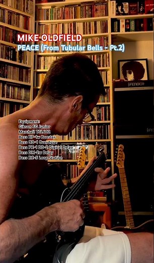 MIKE OLDFIELD - PEACE (from Tubular Bells Part 2)