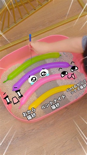 猫砂の種類、多すぎて何を選べばいいか分からない…？そんな猫飼い初心者さん向けに、実際に比較してみました、この動画を見れば、きっと選びやすくなるはず👀#猫 #ねこ #猫のいる暮らし #ねこのいる生活