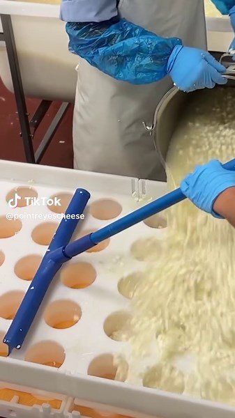 Truffle Brie Curds: Perfectly Drained for Flavor