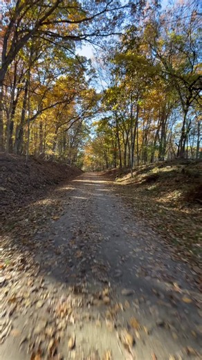 Peaceful fall rides are absolutely stellar. 🙏🏻👽🙏🏻 | Jason Milan