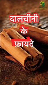 Benefits of eating a piece of cinnamon every day | Life-changing superfood | Cinnamon benefits in...
