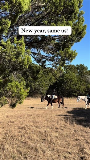 Experience the Ultimate Texas Getaway in 2026
