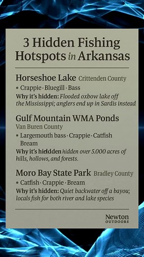 🔥 3 Hidden Arkansas Fishing Spots You Won’t Hear Tourists Talk About Arkansas has plenty of big-name lakes… but these 3 fishing hotspots stay completely under the radar. Tucked inside backwoods WMAs, forgotten oxbow lakes, and quiet bayous, they hold some of the best crappie, bass, bluegill, and catfish in the entire state — with almost zero pressure. If you want peaceful water, bigger fish, and that true Natural State experience, these hidden gems are where to go. 👇 Which one are you explorin