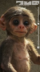 Watch funny wildlife moments from our series 'Spy in the Wild'. Watch funny blooper moments from our wildlife filming for our series 'Spy in the Wild'. Having filmed 8000 hours of footage for our BBC/PBS/THIRTEEN series Spy In The Wild, there was bound to be a few outtakes...but not just of the animals! Music by Will Gregory Clip Edited by Matthew Gordon #animalfails #funnyanimals #funnyanimalsvideos #funnyanimalsclips #funnymoment #monday #mondayvibes #mondayfunday #fail #animalfails #wildlife 