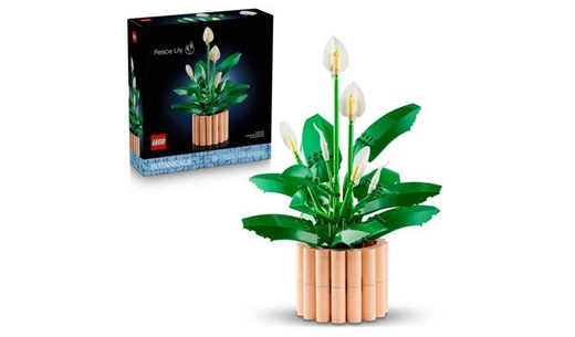 Buy LEGO Botanicals Peace Lily Artificial Plant Set 11504 | LEGO | Argos