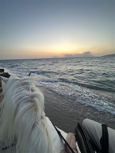 🐎 Un bol d’air à toute allure ! À l’Il-Majjistral Nature & History Park, la balade à cheval révèle le meilleur de la nature maltaise : falaises dorées, sentiers sauvages et vue mer qui s’étire jusqu’à l’horizon. Une escapade parfaite pour vivre l’hiver autrement 🌾 👉 Et vous, ça vous tente plutôt version lever de soleil ou coucher de soleil 🌅 🎥 @shiela_cabahug | Visit Malta