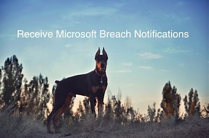 マイクロソフトのデータ侵害通知を受け取る方法 | 二本松 哲也