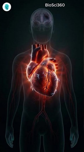 Arrhythmia Treatment & When It Becomes Dangerous