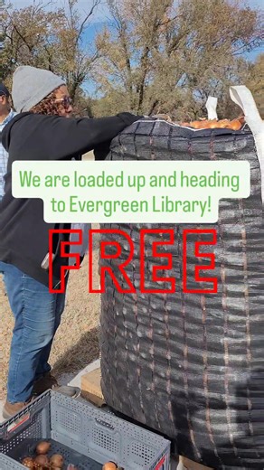 FREE potatoes and onion will be at Evergreen Library on Tuesday from 10:30 until the library closes. Thank you to Salud Bienestar and team for distributing the produce! #commongroundpg #feedingthecommunity #potatoesandoinions | Common Ground Producers and Growers