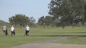 Plans to upgrade power lines at Sinton Municipal golf course puts 75-year-old trees at risk