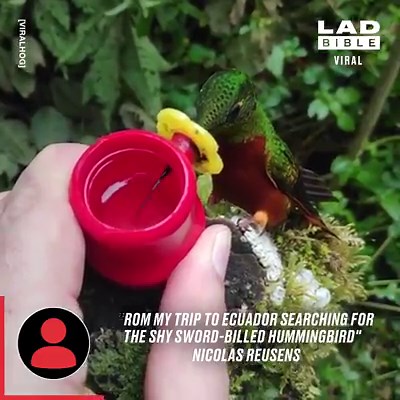 15M views · 333K reactions | Nature, you awesome  | LADbible | Facebook