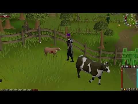 (OSRS) Loot From Cow Calf