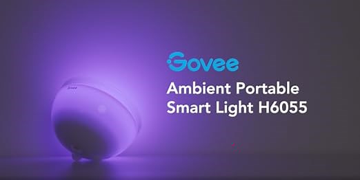 How to use Govee Ambient Portable Light with Govee Home App
