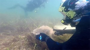 Watch Expedition Unknown Season 6 Episode 4 - Atlantis of the Andes