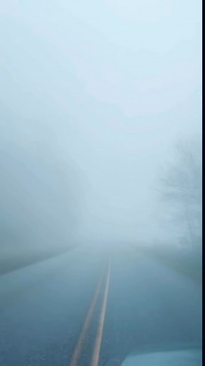 43 reactions · 3 comments | The drive along the Blue Ridge Parkway is truly one of a kind. Words can’t do justice to the stunning views and peaceful vibes you experience on this beautiful road. If you haven’t been, it’s a must-see!  #BlueRidgeParkway #ScenicDrive #NatureLovers #MustVisit | Armando Vazquez | Facebook