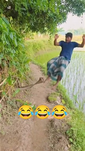 Epic Funny Video 😂😂😂 #funny #shorts #viralshorts #comedy #funnymoments #fails #humor