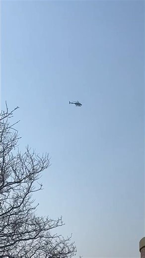 Multiple Helicopters Flying pass the Statue of Liberty #short #helicopter
