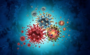 New interactive dashboard shows respiratory infection data in Texas