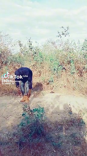 11K views · 239 reactions | cheki mauno | Kisweta | Facebook