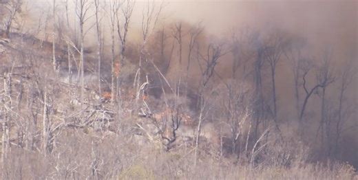 Burning ban lifted for five remaining counties in SC