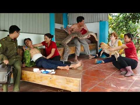 72 Hours of Terror: Giant Python Invades Home - Man Collapses, Chaos Erupts! 🐍🏠