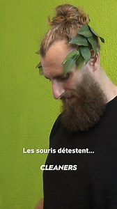 Pas besoin d'utiliser des répulsifs chimiques pour éloigner les rongeurs ! Alex nous donne son astuce 100% naturelle ! ⬇️ ⏰ Retrouvez-le ce soir à 21h05 dans #Cleaners | TFX