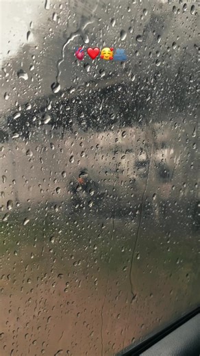 Exploring Creator Search Insights on TikTok