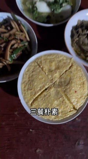Rediscover the Thrill of Village Chicken Farming