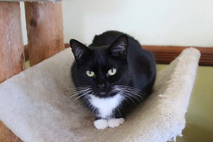 28 reactions · 11 shares | All right Esmerelda...time to put those...