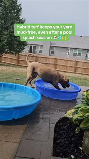 Hybrid turf prevents muddy yards — even after pool splash sessions!...