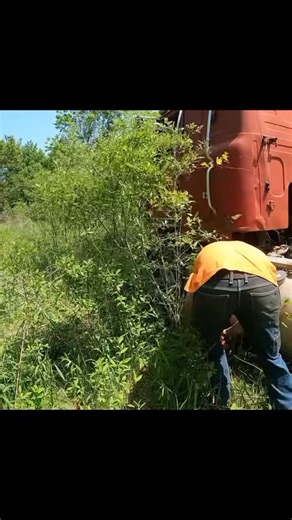 willitrun | The cheapest semi truck Will it run??? #willitrun #engine #old #recovery #repair #restoration | Instagram