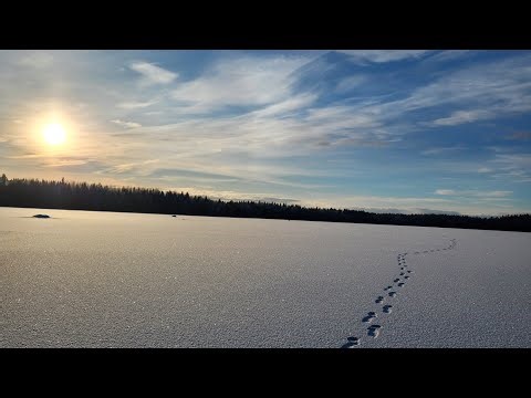 Walking & Driving on a Frozen Sea in Finland | Winter Life in Vaasa