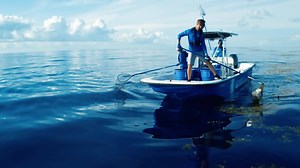 11M views · 1.3K shares | Plastic pollution is a global problem. And we’re about to launch a global solution. Visit 4ocean.com to learn more. #4ocean #OPRCampaign #JoinTheMovement | 4ocean | Facebook