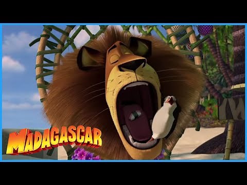 DreamWorks Madagascar | This Is Better Than Steak | Madagascar Movie Clip