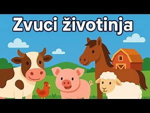 Učimo zvukove životinja | Domaće životinje sa farme | Edukativni Video za Decu #ZvukoviŽivotinja