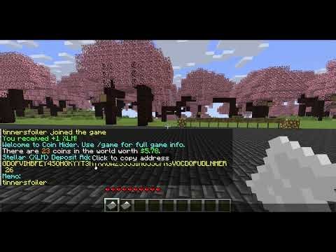 Coin Hider Real Money Skill Based Minecraft Server p2
