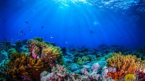 How deep does the ocean go?