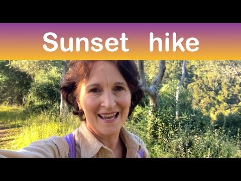 Highlights of Montacute landscape #aussienature