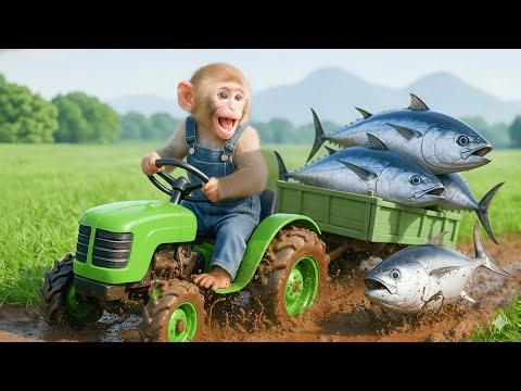 Monkey NaNa Goes Fishing and Finds an Otter… Then Digs a Pond to Raise It! 🦦💦😱