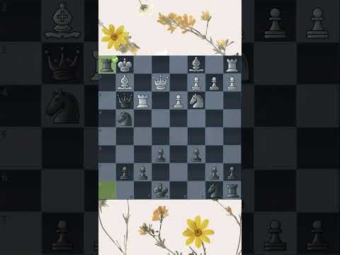 The Rook Sacrifice That Ends in Mate! ♟️