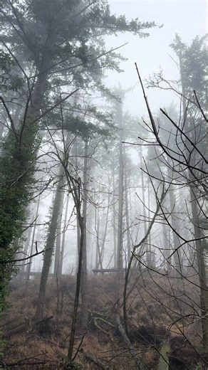 🕸️ (@ghostviewss)’s videos with rebirth - -