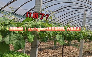 自学java回家种地之基于springboot智慧葡萄园加强版！！！