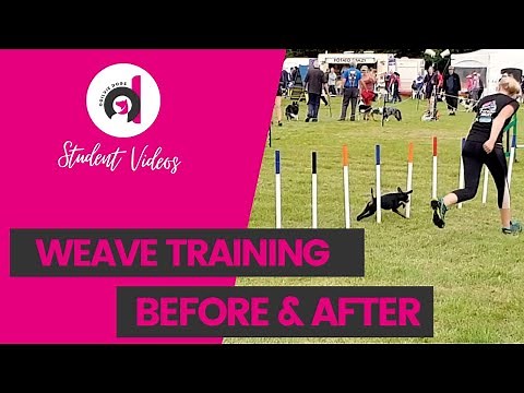 WEAVE POLE TRAINING- Before & after teaching dog agility weave poles/slalom using the channel weaves