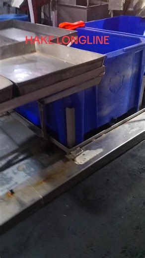 Hake Longline Fishing: Techniques and Best Practices