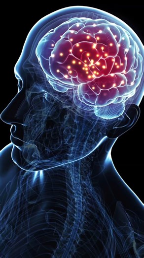 Sleep Secret Your Brain Never Stops Working 🧠 #shorts #facts #amazingfacts #viralshorts #knowledge