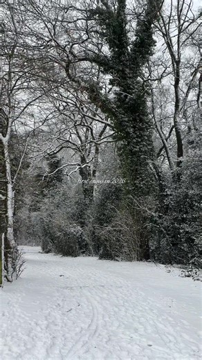 Experience the Magic of First Snow in 2026