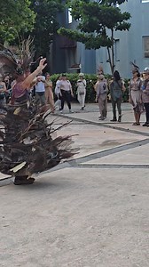 EL ARTE DEL PERFORMANCE Hoy estuvimos presenciando una protesta artística en defensa de los bienes públicos. La reconocida actriz y performera Teresa Hernández presentó "Erizas escambronás", una caminata performativa estético-ambiental en defensa de los parques Sixto Escobar y El Escambrón. Incluyó a las activistas de El Escambron, a varias artistas, actrices y divisé a miembros de campamentos de resistencia. Compartí en la caminata con gente bien querida como Doel Vazquez Perez , Marcia Rivera 
