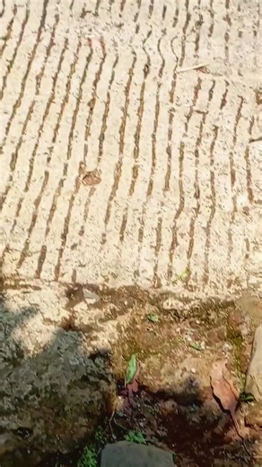 Rekomendasi Sound System Terbaik untuk Acara